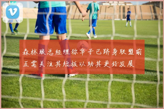 森林狼总经理称华子已跻身联盟前五需关注其短板以助其更好发展