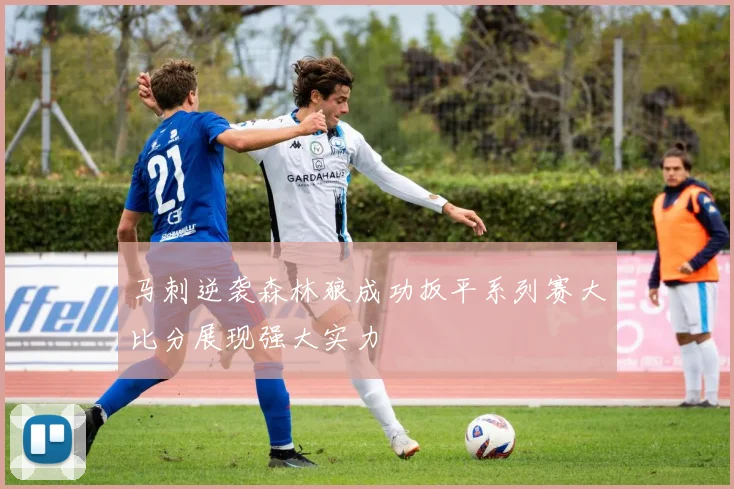马刺逆袭森林狼成功扳平系列赛大比分展现强大实力